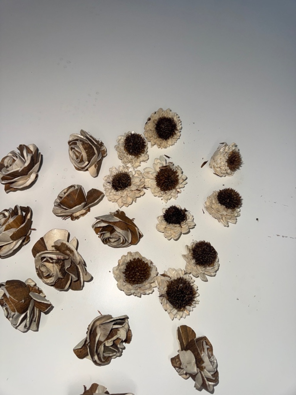 Sola Wood Flowers - Dried Wood Rose and Petite Bloom Mix - Neutral Tones - Picture 3 of 3